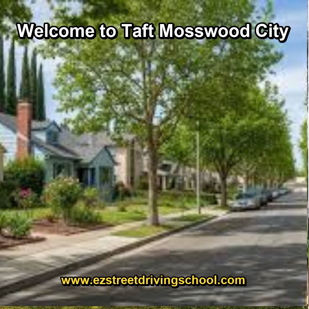 Driving Lessons in Taft Mosswood